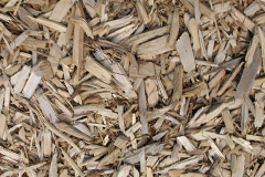 biomass boilers Gadlys